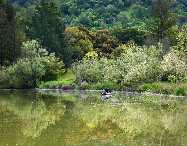 /Images/uploads/Sonoma County Regional Parks Foundation/springlake50/entries/28908thumb.jpg